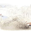 Le renard blanc