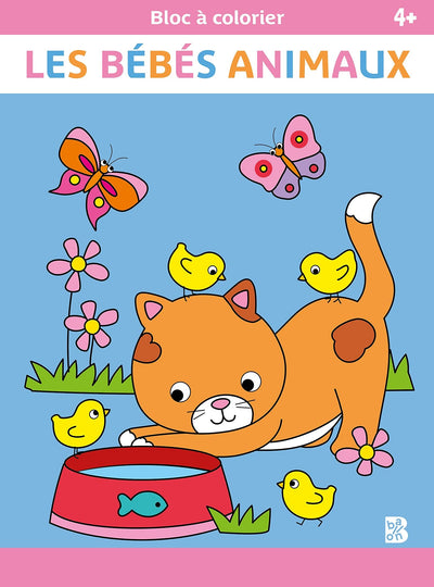 Bébés animaux