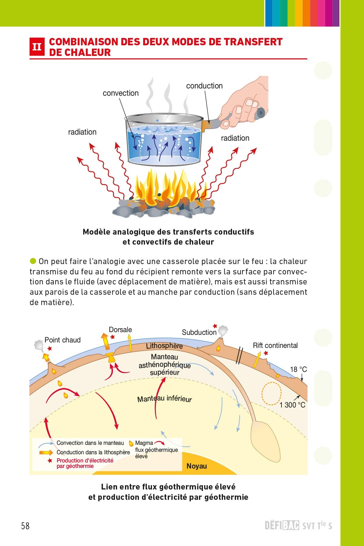 SVT spécifique et spécialité Tle S: Fiches de révision