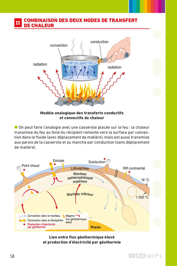 SVT spécifique et spécialité Tle S: Fiches de révision