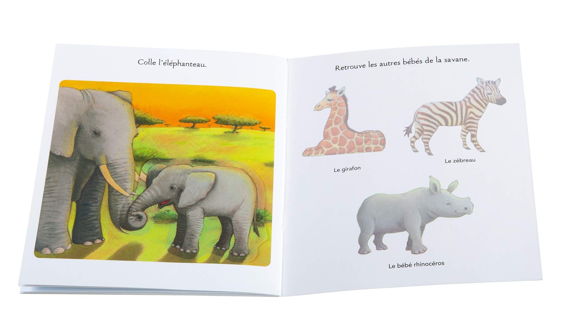 Les bébés animaux