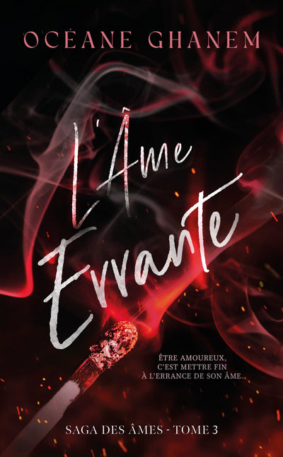 L'Âme Errante - Saga des Âmes Tome 3: Après l'Âme Bleue