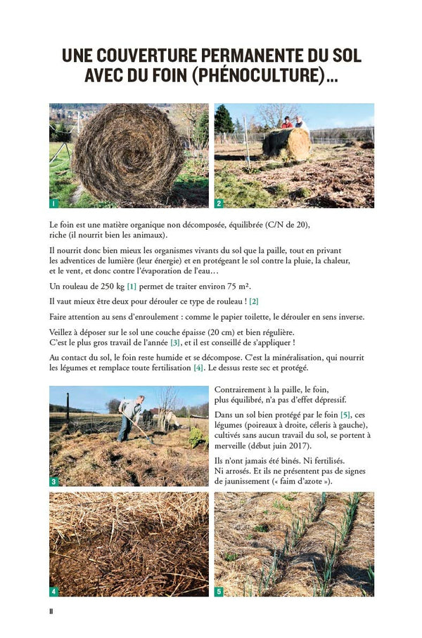 Le potager du paresseux - Produire en abondance des légumes bio en phénoculture, sans compost, sans travail du sol, sans buttes - nouvelle édition augmentée et illustrée