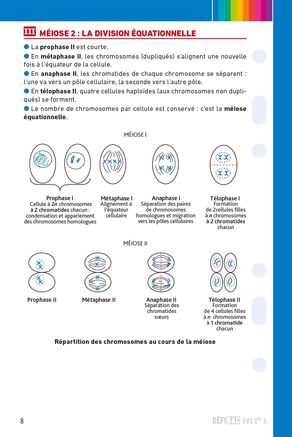 SVT spécifique et spécialité Tle S: Fiches de révision