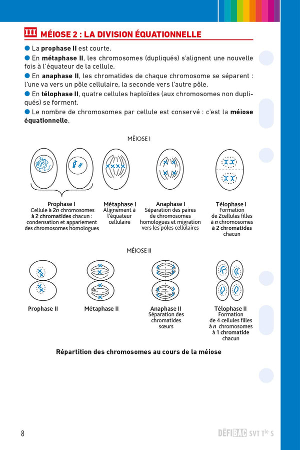 SVT spécifique et spécialité Tle S: Fiches de révision