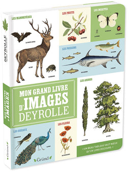 Mon grand livre d'images Deyrolle – Imagier grand format – À partir de 2 ans