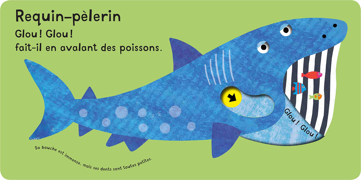 AS-TU PEUR DU REQUIN ?
