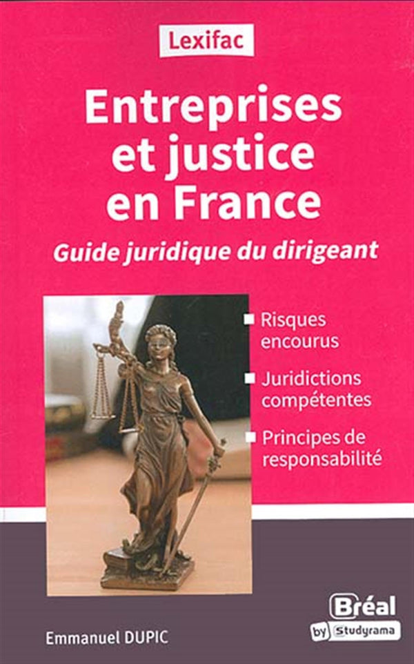 Entreprises et justice en France: Guide juridique du dirigeant