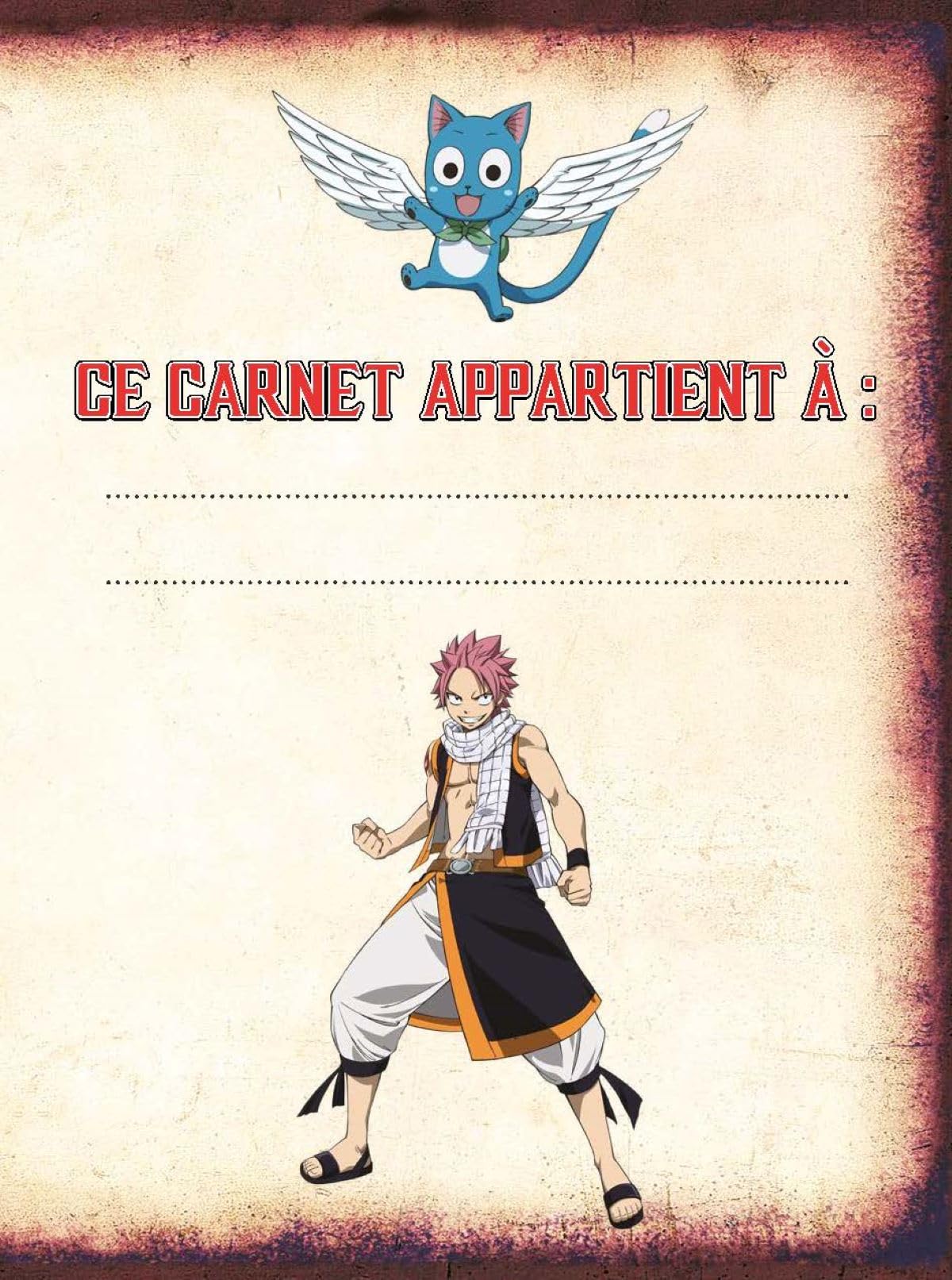 Carnet secret - Fairy Tail