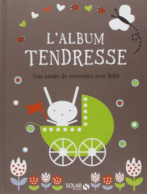 L'album tendresse: Une année de souvenirs avec Bébé