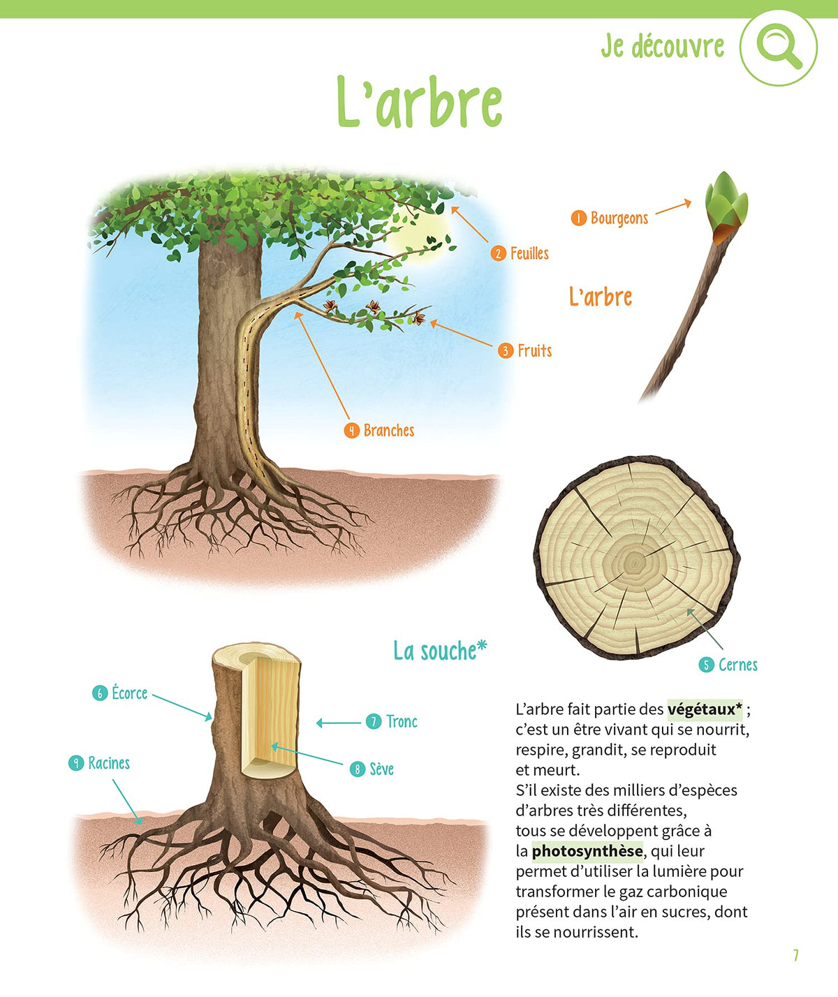 Mon gros cahier de la nature