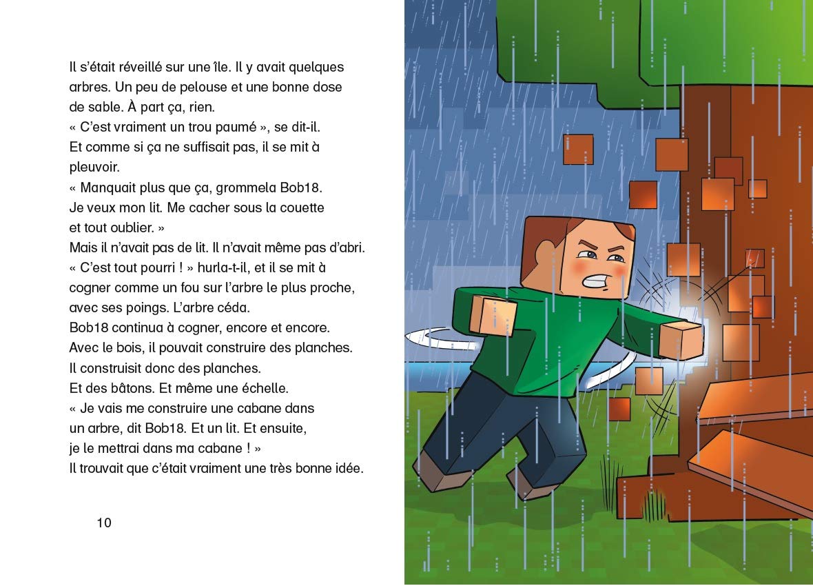 Minecraft : Bob18 et le cochon nommé jeudi - Roman junior - De 7 à 11 ans