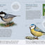 Reconnaître facilement les oiseaux du jardin - Photos grandeur nature
