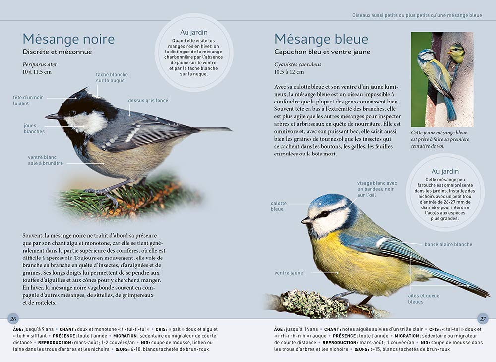 Reconnaître facilement les oiseaux du jardin - Photos grandeur nature