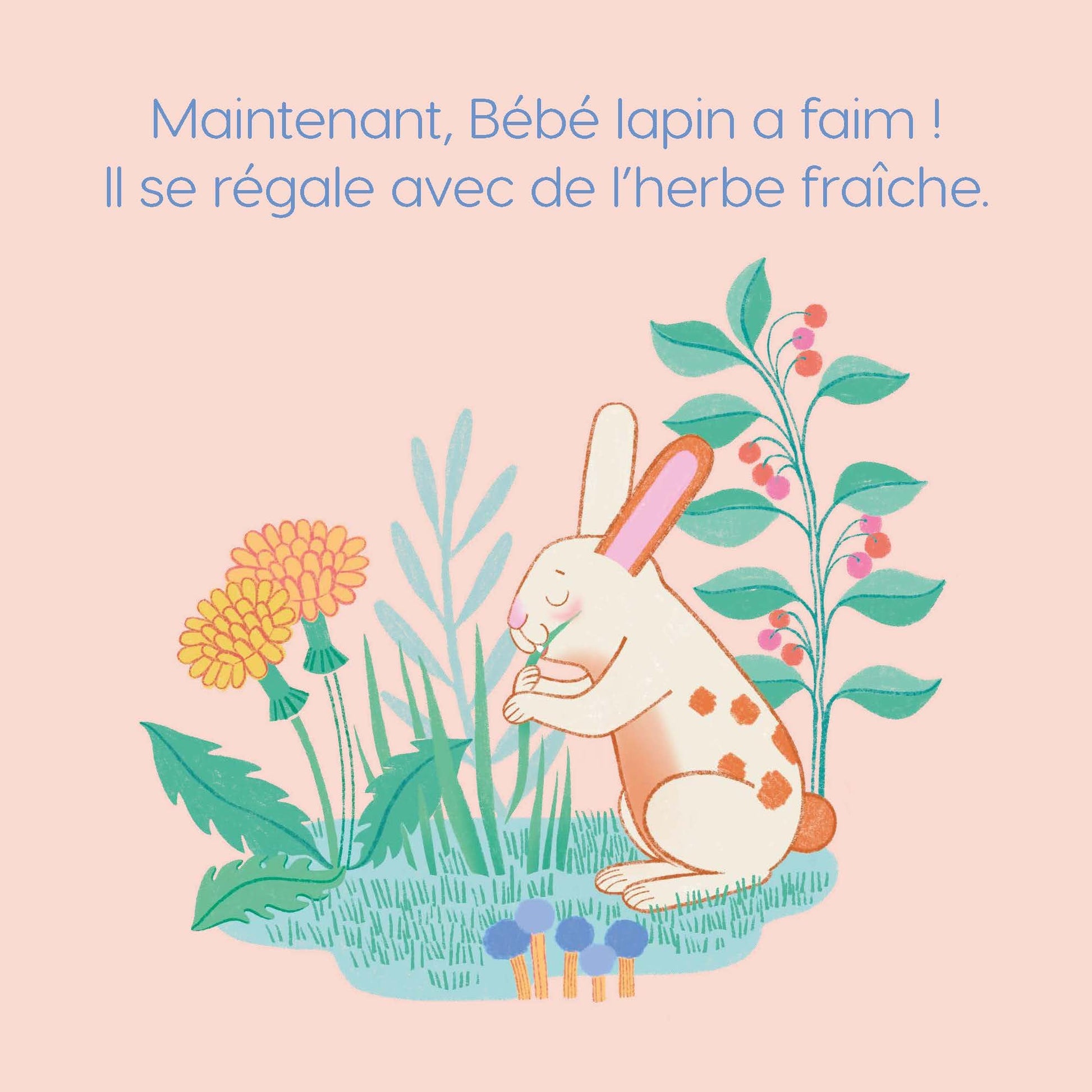 Bébé lapin