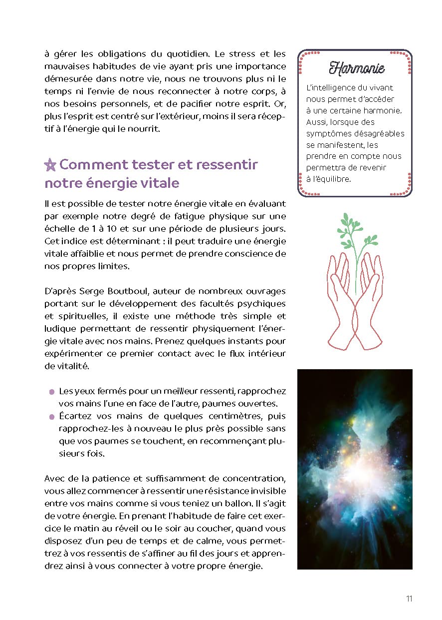 Préserver mon énergie vitale: Le guide pratique et facile pour la soutenir et la régénérer