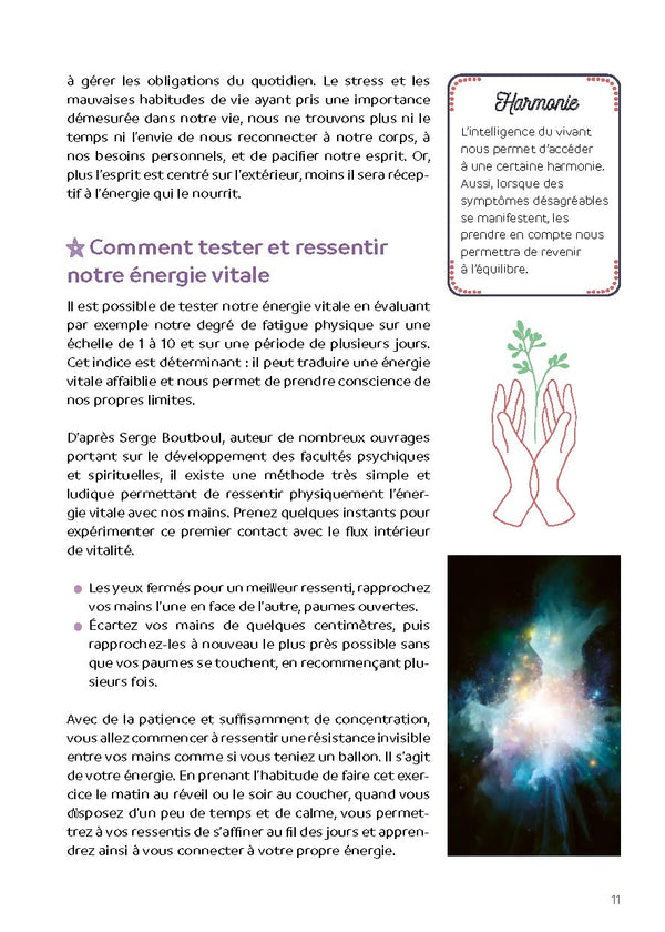 Préserver mon énergie vitale: Le guide pratique et facile pour la soutenir et la régénérer