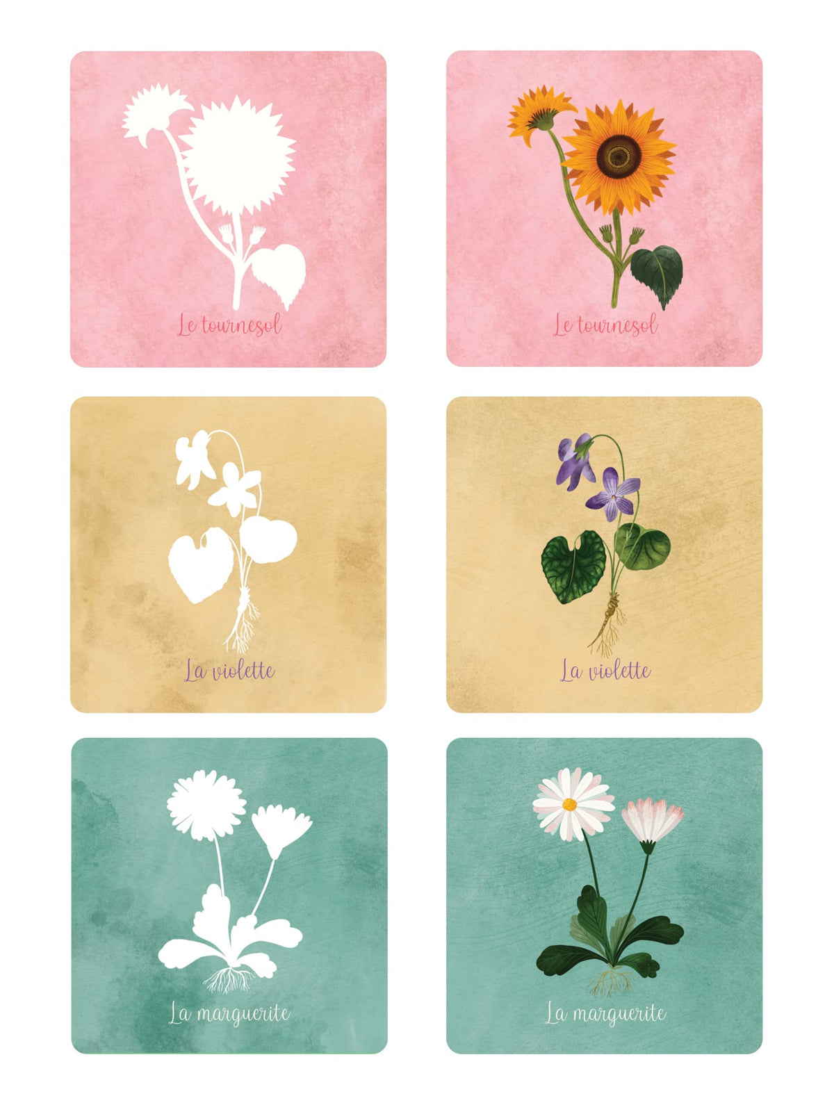 Mon memory des arbres et des fleurs à colorier