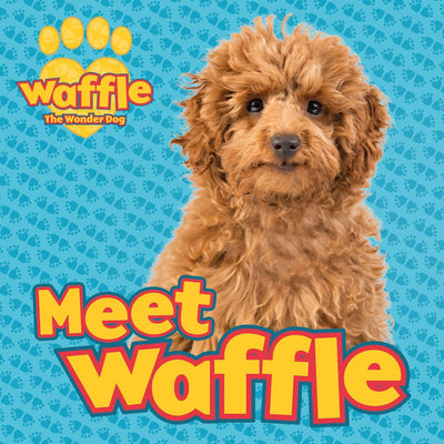 Meet Waffle!: 1 (Waffle the Wonder Dog)