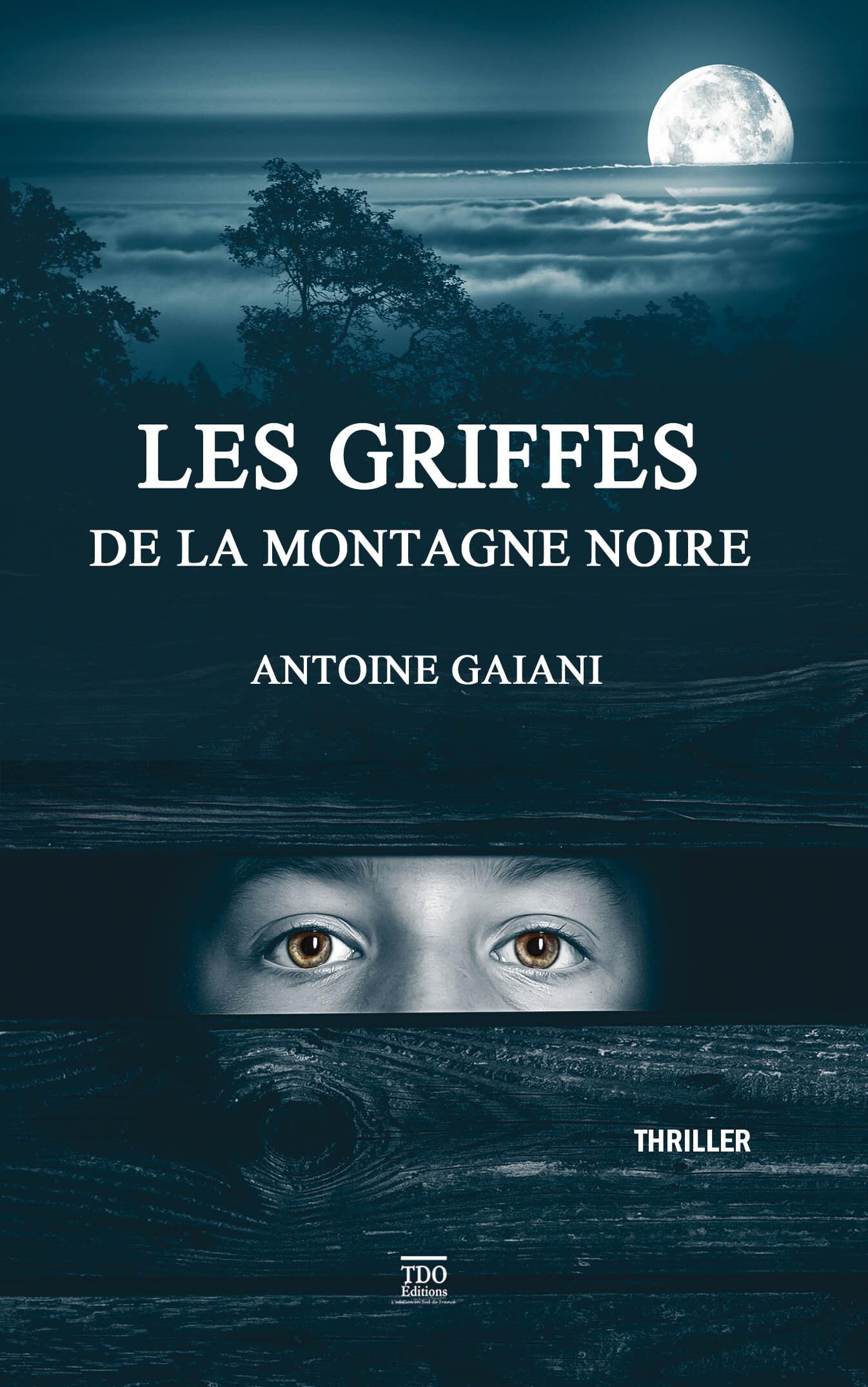 Les griffes de la montagne noire (poche)