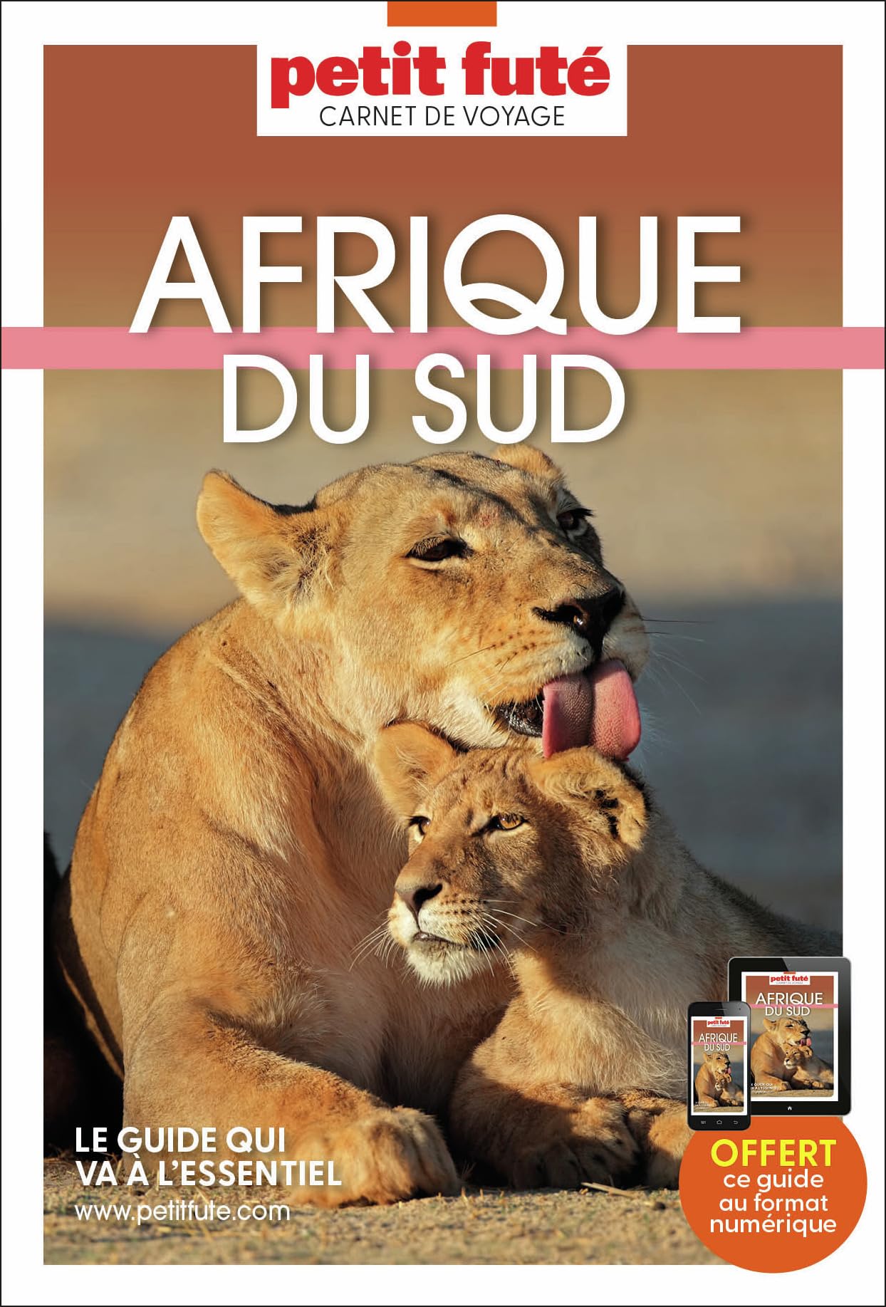 Guide Afrique du Sud 2025 Carnet Petit Futé