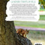 La nature s'invite en ville