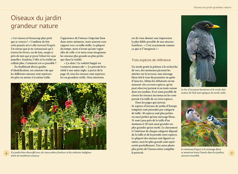 Reconnaître facilement les oiseaux du jardin - Photos grandeur nature