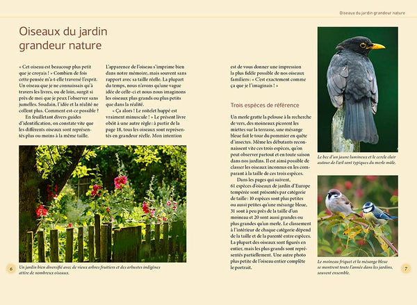 Reconnaître facilement les oiseaux du jardin - Photos grandeur nature