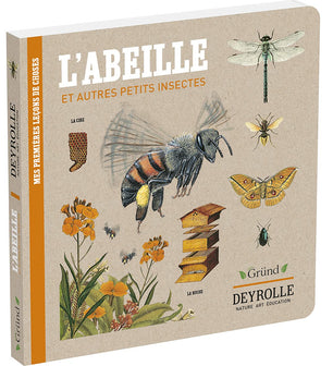 Deyrolle : L'abeille et autres petits insectes – Album documentaire Jeunesse – À partir de 3 ans