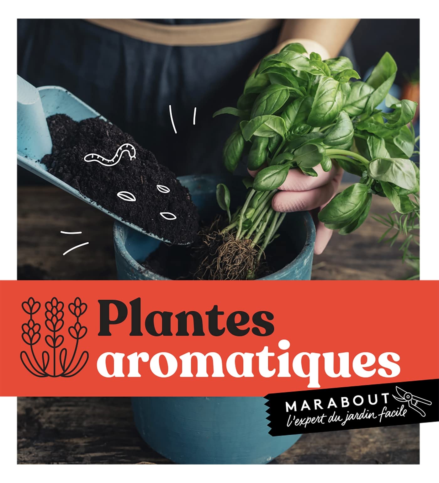 Plantes aromatiques