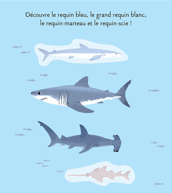 Les animaux de la mer