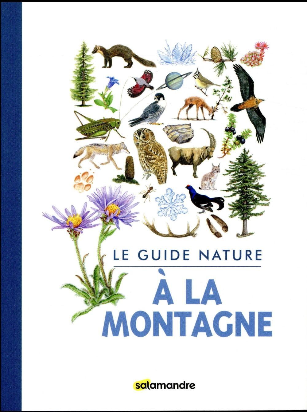 Le guide nature à la montagne