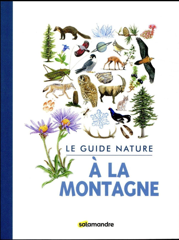 Le guide nature à la montagne