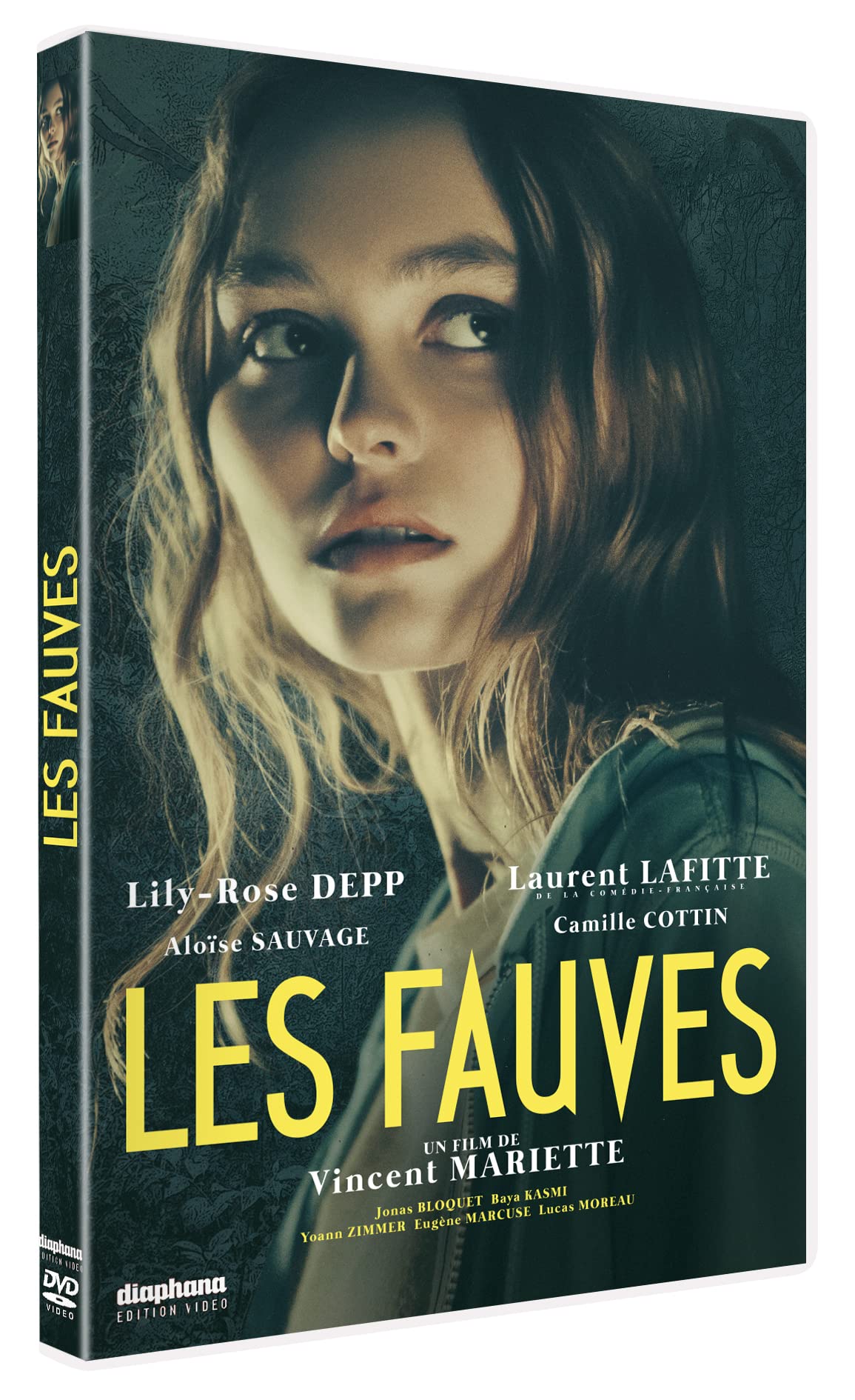 Les Fauves