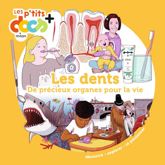 Les dents: De précieux organes pour la vie