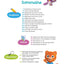 Tout le programme Petite section 3-4 ans - A la maternelle: Tous les apprentissages de PS