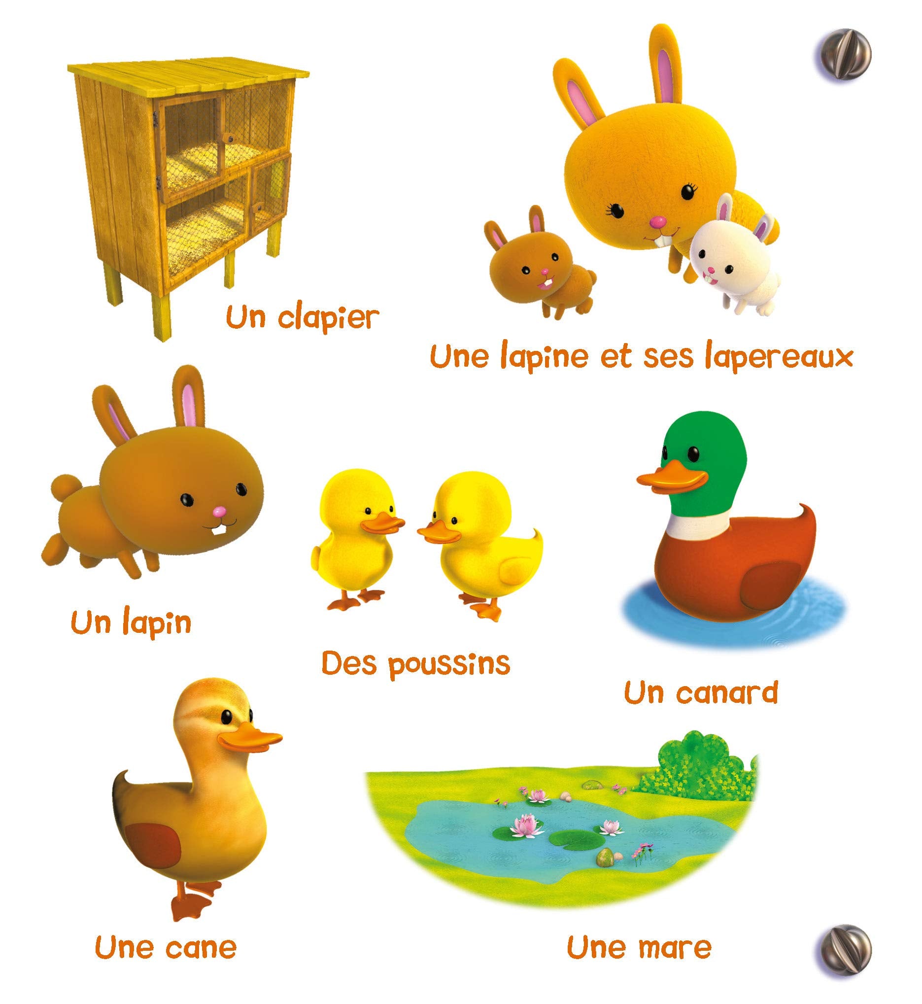 L'imagier de la ferme- P'tit Garçon