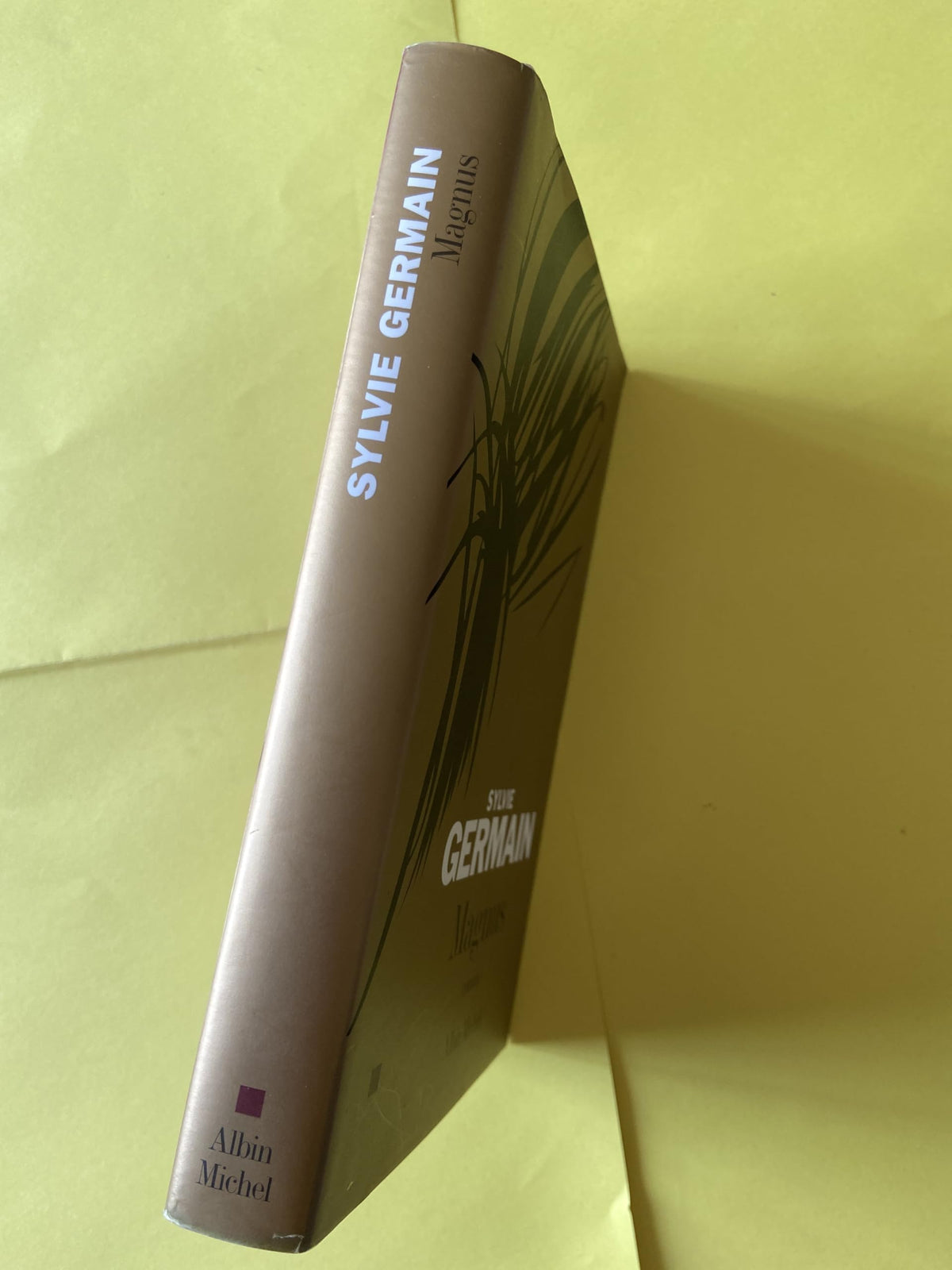 Magnus - Prix Goncourt des Lycéens 2005