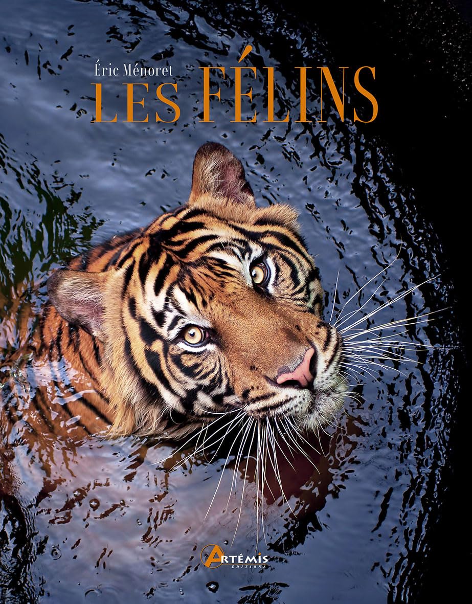 Les félins