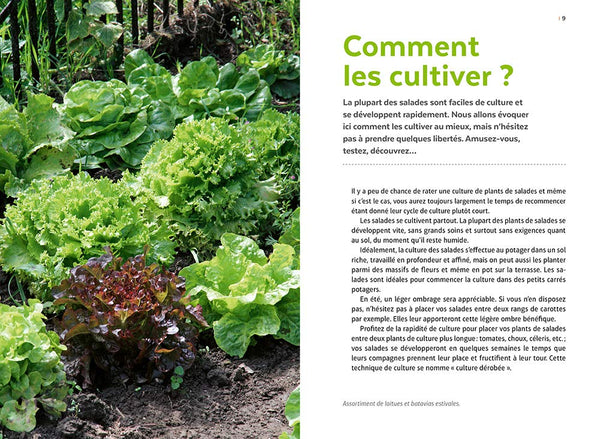 Salades - Tous les types de salades & comment les cultiver