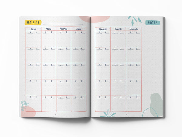 Mon carnet de FIV – journal de bord pour accompagner le parcours PMA (2 protocoles complets de FIV)