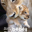 La vie sauvage des bébés animaux
