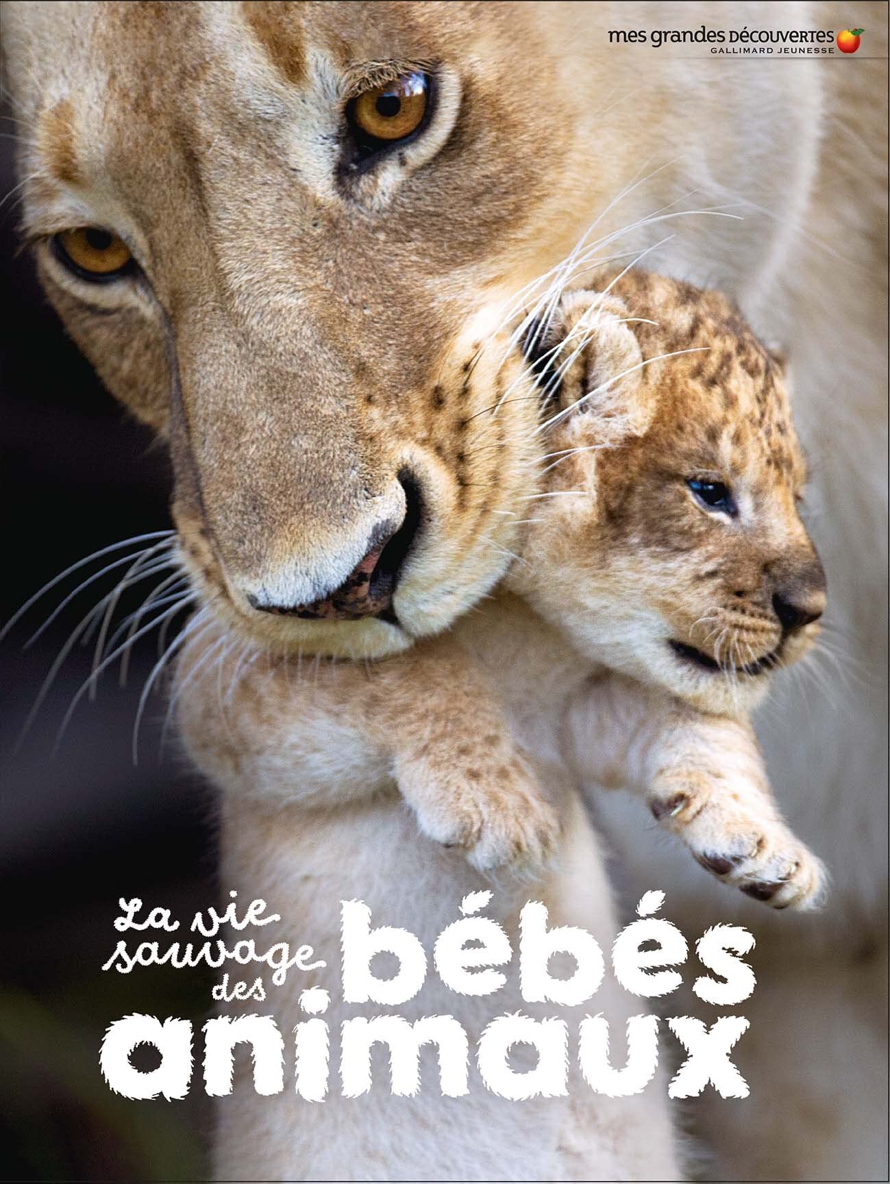 La vie sauvage des bébés animaux