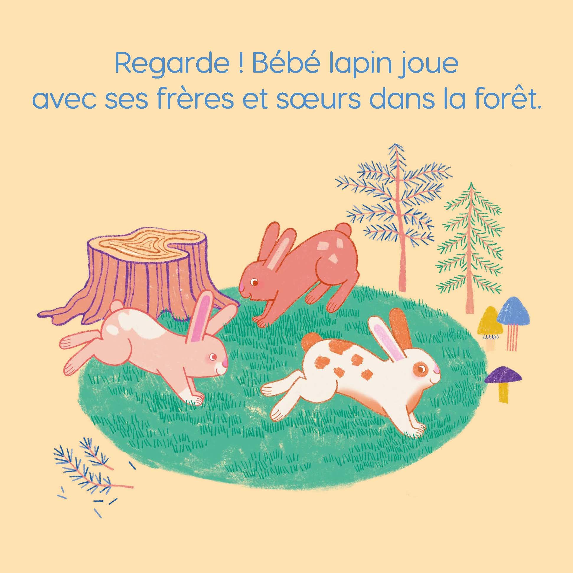 Bébé lapin