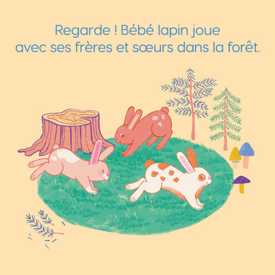 Bébé lapin