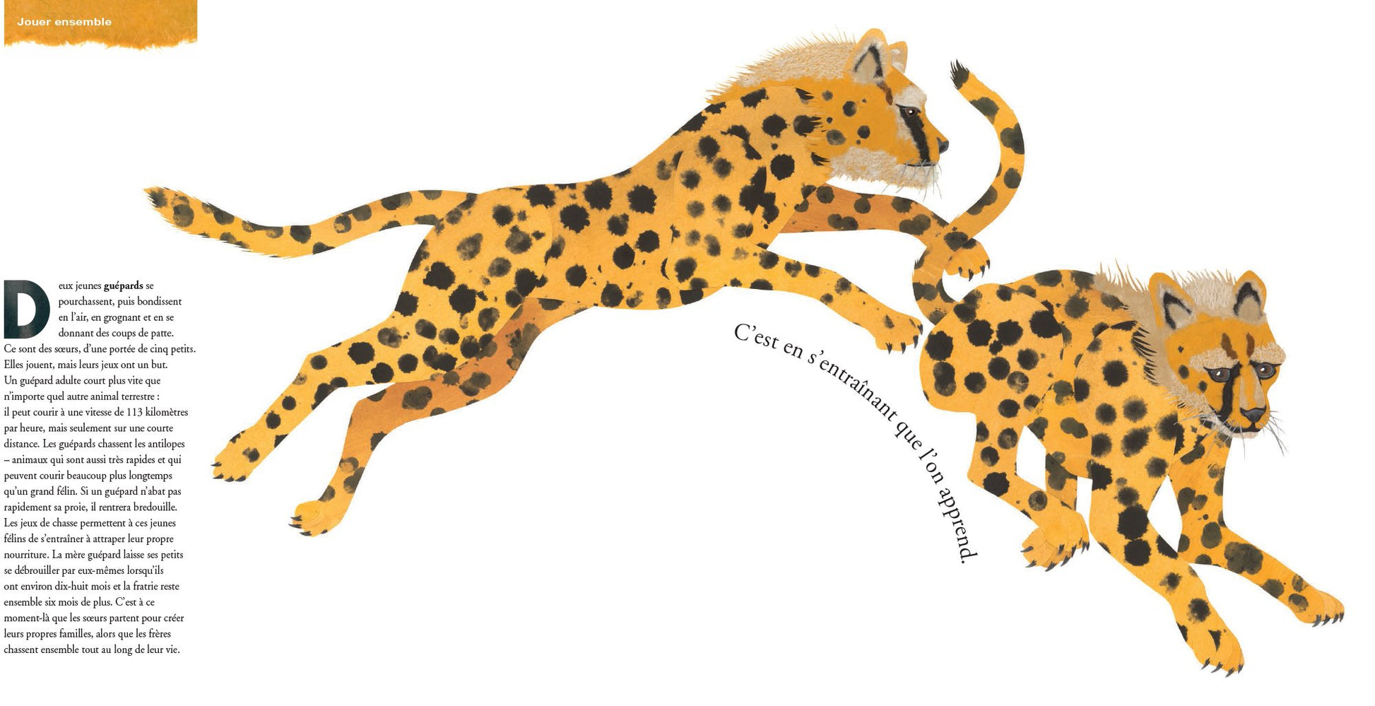 Frères et soeurs dans le monde animal