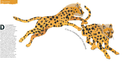 Frères et soeurs dans le monde animal