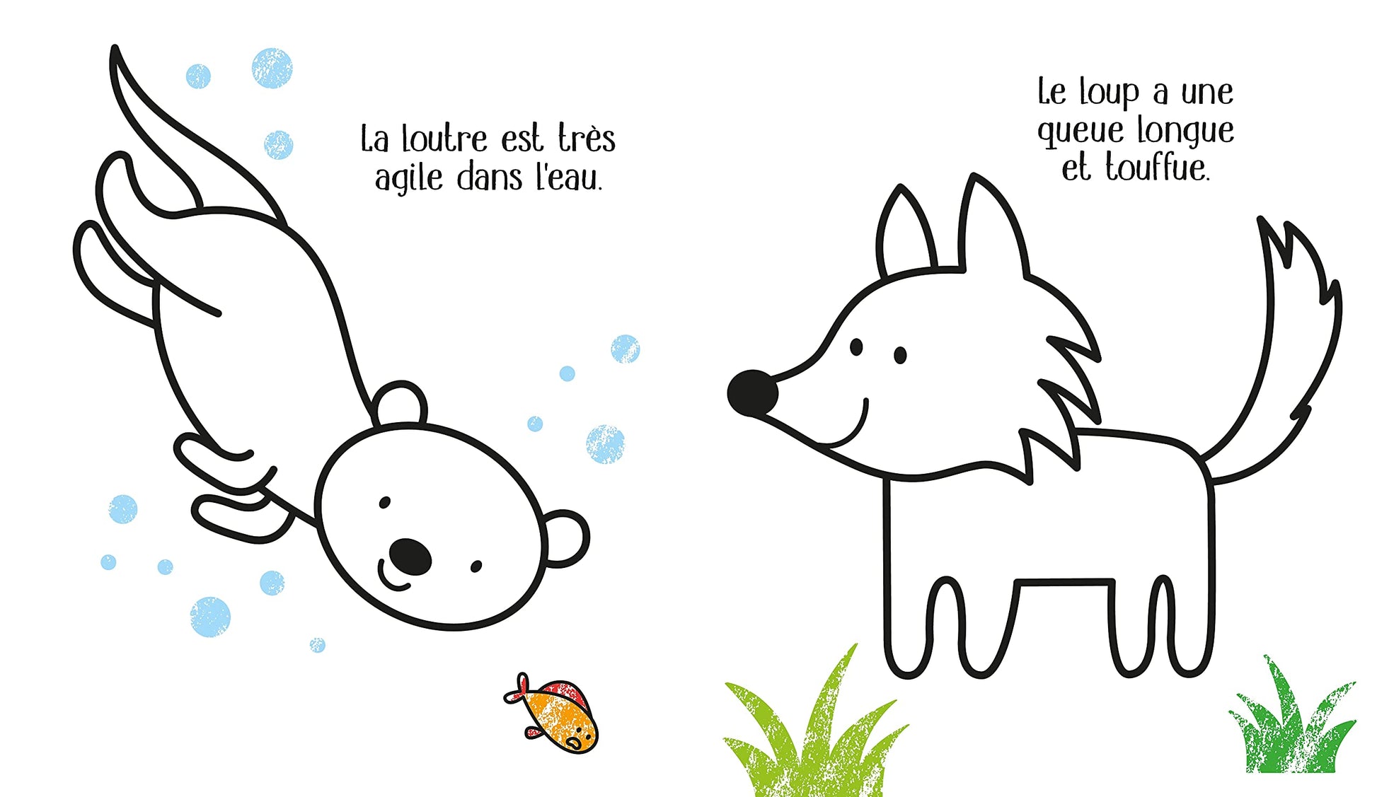 Les animaux du zoo - Mes petits coloriages Usborne