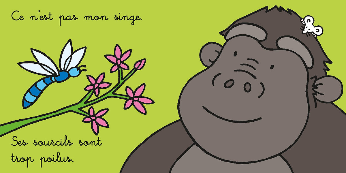 Où est mon singe ? - Les tout-doux Usborne