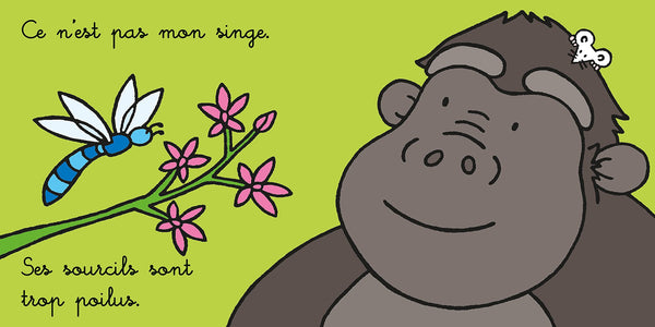 Où est mon singe ? - Les tout-doux Usborne